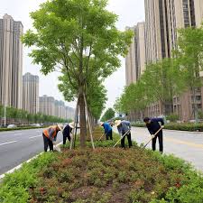 贝博中国 偃师中森园林绿化工程有限公司