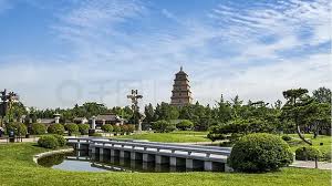 贝博中国 四川城市绿化价格